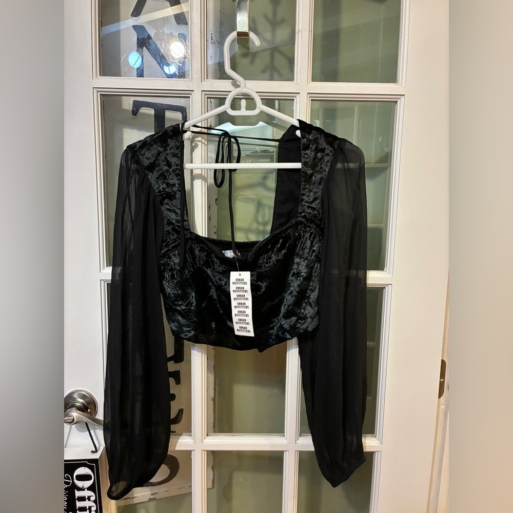 Urban outfitters NWT Sheer Long Sleeve Velvet Crop Top in Black